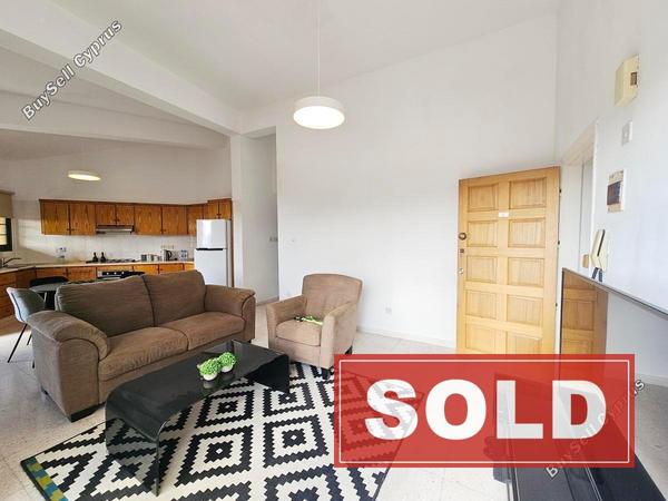 studio commercial building sold peyia paphos 7845531 image 10804315