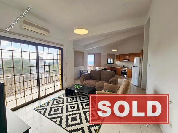 studio commercial building sold peyia paphos 7845531 image 10804317