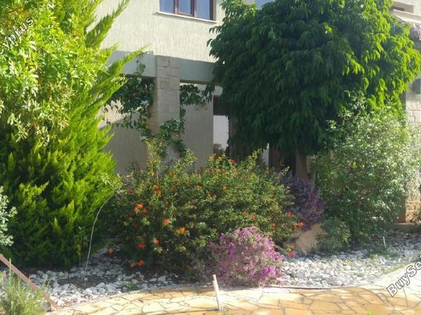 5 bedroom detached house for sale akrounta limassol 1929631 image 7576037