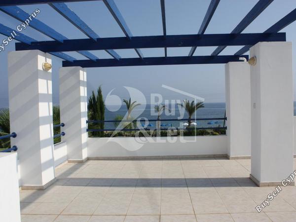 7 bedroom detached house for sale latsi paphos 8249631 image 14060893