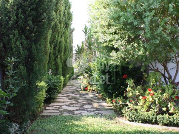 7 bedroom detached house for sale latsi paphos 8249631 image 14060894
