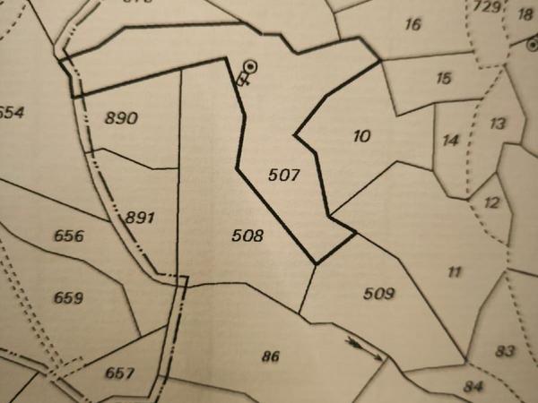 land for sale zoopigi limassol 8156631 image 13484691