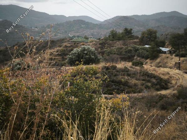 land for sale zoopigi limassol 8156631 image 13484693