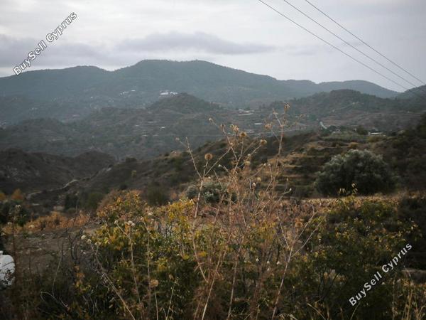 land for sale zoopigi limassol 8156631 image 13484694