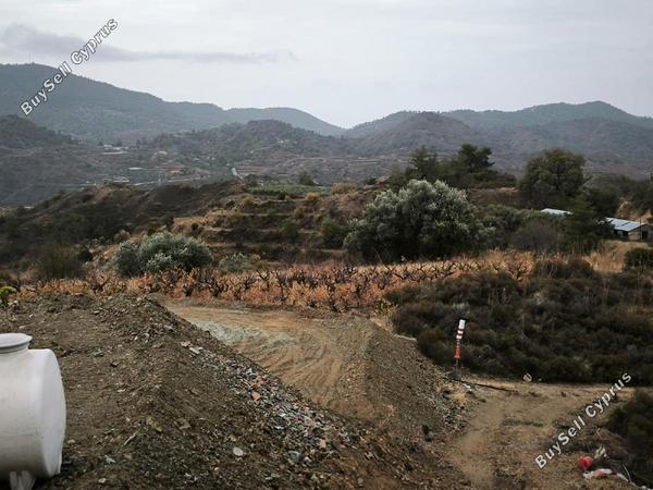 land for sale zoopigi limassol 8156631 image 13484696