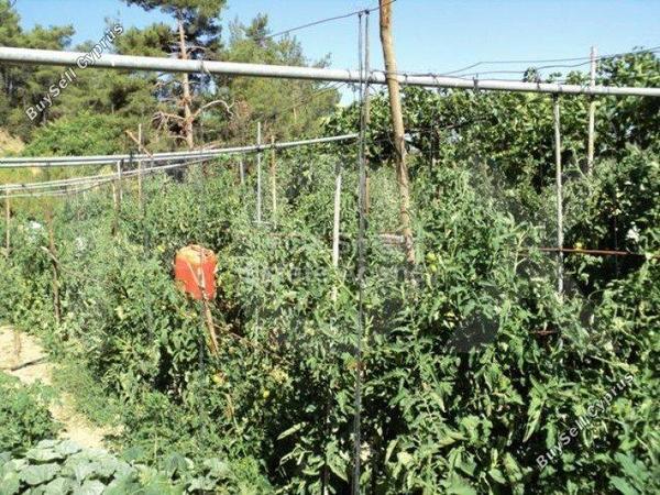 plot for sale spilia nicosia 1152631 image 5159276