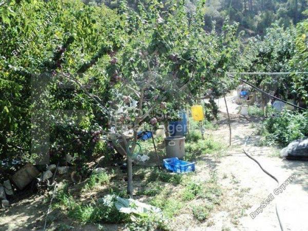 plot for sale spilia nicosia 1152631 image 5159282