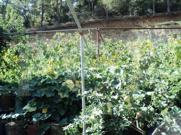 plot for sale spilia nicosia 1152631 image 5159283