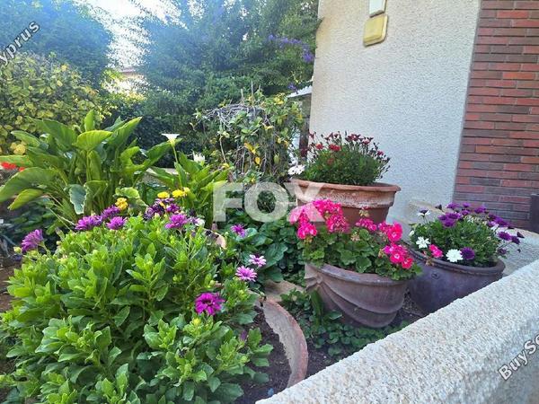 studio office for rent katholiki limassol 8531631 image 15539033