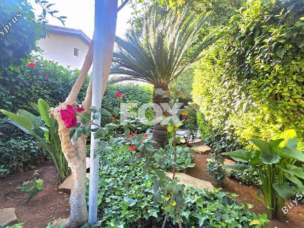 studio office for rent katholiki limassol 8531631 image 15539035