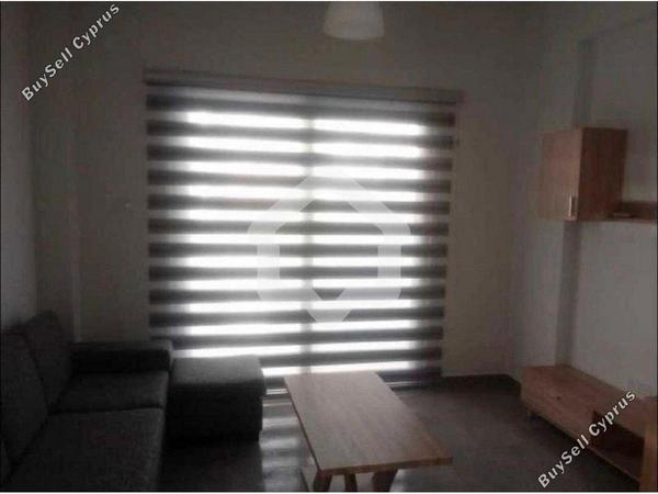 1 bedroom apartment for rent aglantzia nicosia 8338731 image 16335510