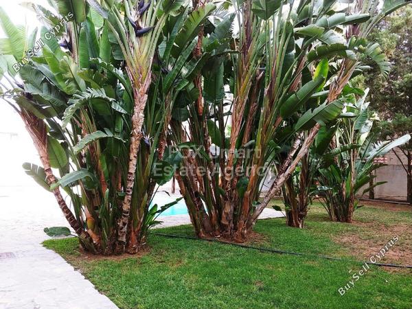 3 bedroom detached house for sale pano lakatamia nicosia 1189731 image 5174136