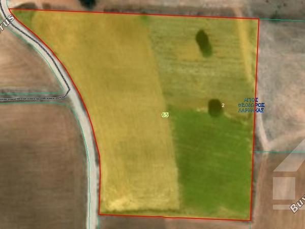 land for sale agios theodoros larnacas larnaca 8076731 image 13071149