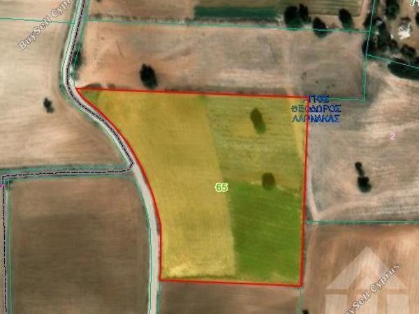 land for sale agios theodoros larnacas larnaca 8076731 image 16170878