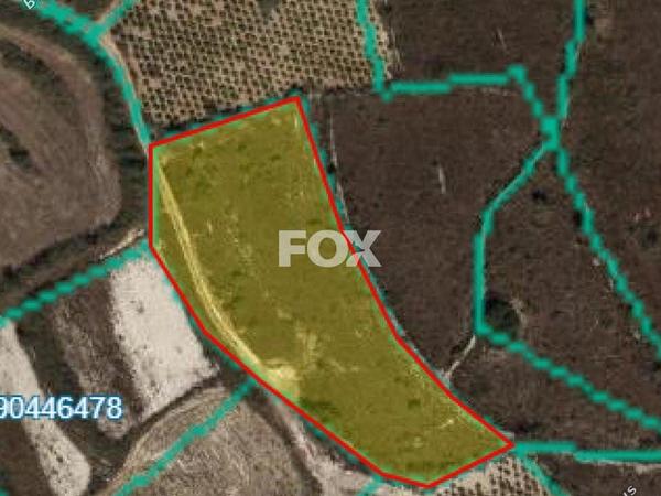 land for sale kathikas paphos 1160731 image 10031182