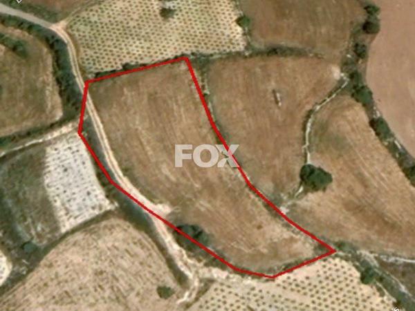 land for sale kathikas paphos 1160731 image 10031184