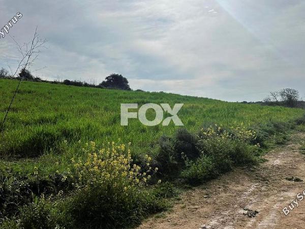 land for sale kathikas paphos 1160731 image 10031188