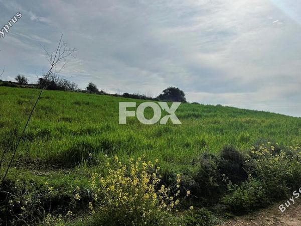 land for sale kathikas paphos 1160731 image 10031193
