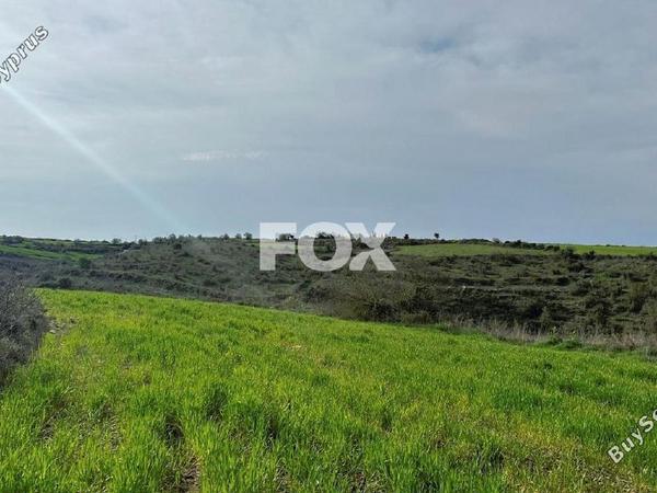 land for sale kathikas paphos 1160731 image 10031195