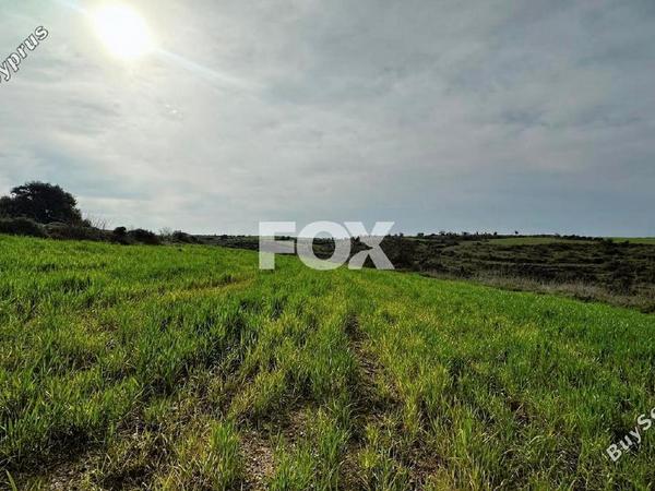 land for sale kathikas paphos 1160731 image 10031196