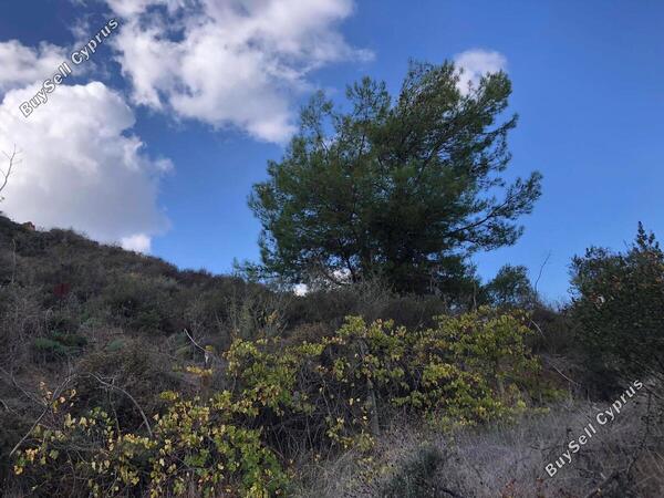 land for sale kellaki limassol 943731 image 1860879