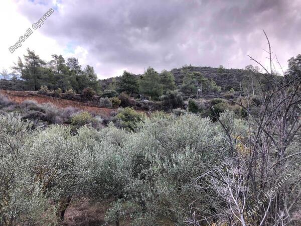 land for sale kellaki limassol 943731 image 1860881