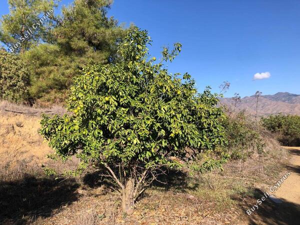 land for sale kellaki limassol 943731 image 1860882