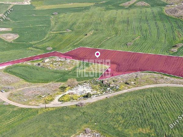 land for sale nisou nicosia 1167731 image 10491497