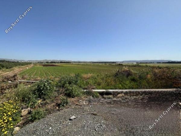 land for sale timi paphos 8495731 image 15312413