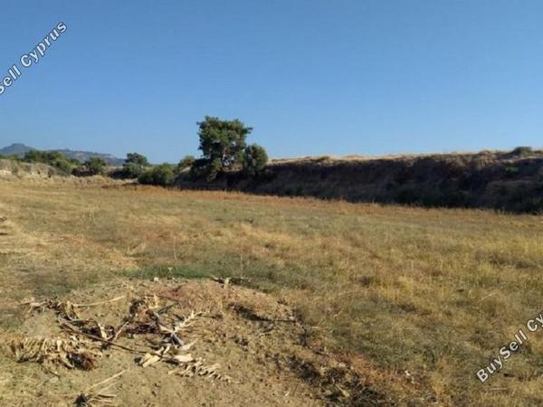 land for sale argaka paphos 1355831 image 17114405