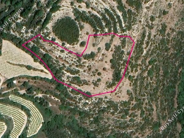 land for sale koili paphos 8629831 image 15870020