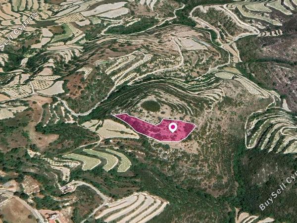 land for sale koili paphos 8629831 image 15870021