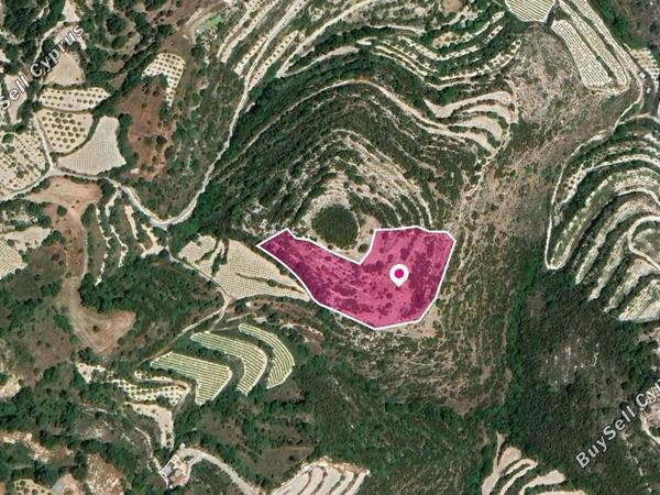 land for sale koili paphos 8629831 image 15870022