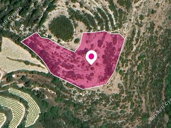 land for sale koili paphos 8629831 image 15870024