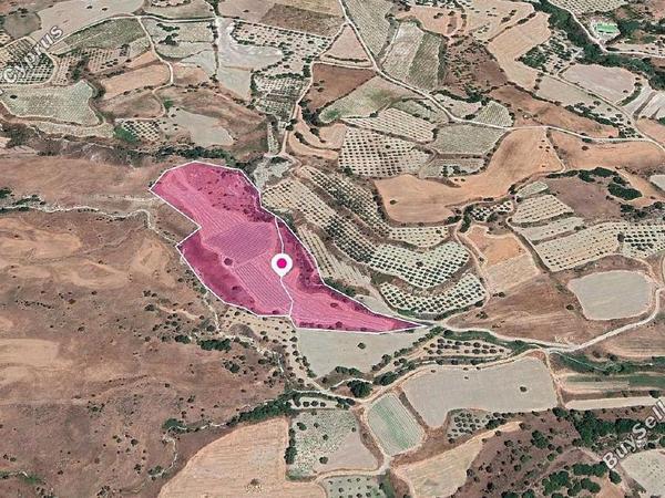 land for sale kritou marottou paphos 1897831 image 14208828