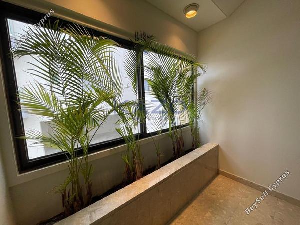 studio office for rent tsirion limassol 8710831 image 16271982
