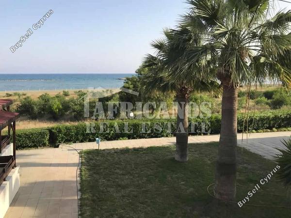 2 bedroom linked detached house for rent dekeleia larnaca 8338931 image 16658367