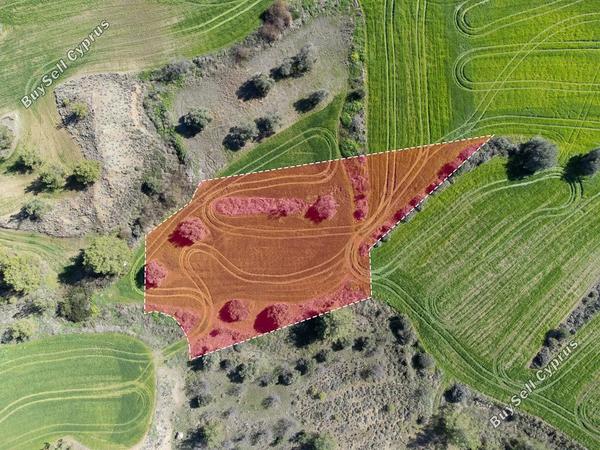 land for sale klirou nicosia 1256931 image 15600853