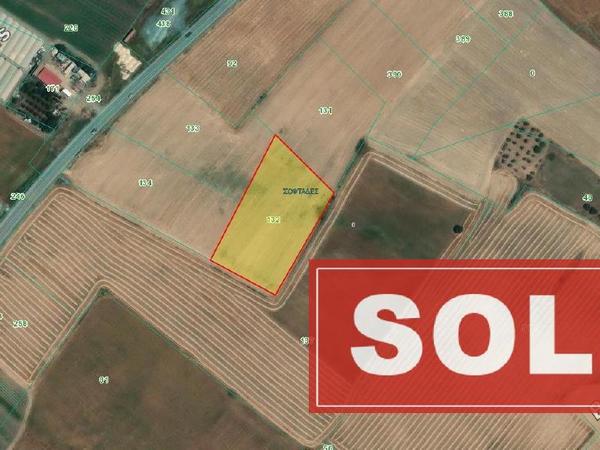 land sold softades larnaca 8301931 image 14102242