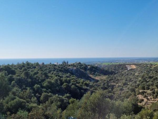 3 bedroom detached house for sale secret valley paphos 8629041 image 15864977