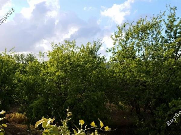 4 bedroom detached house for sale polemi paphos 7792041 image 10455122