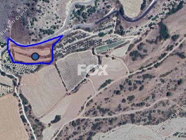 land for sale amargeti paphos 1509041 image 5630436