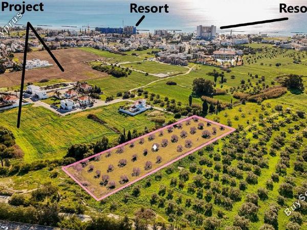 land for sale dekeleia larnaca 1792041 image 14321956
