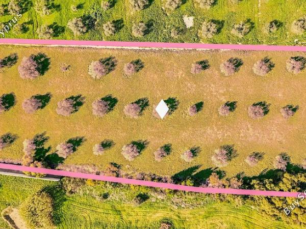 land for sale dekeleia larnaca 1792041 image 14321958