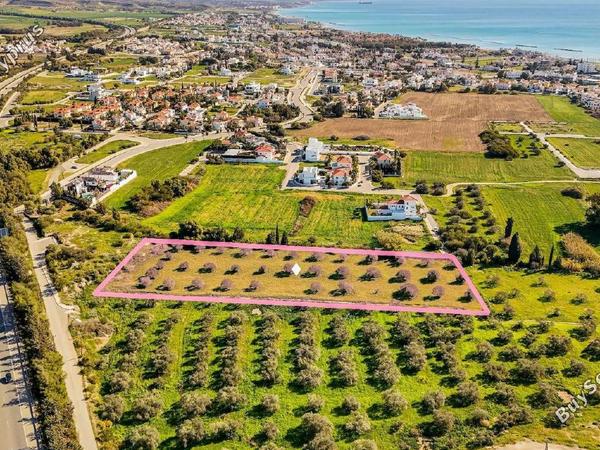 land for sale dekeleia larnaca 1792041 image 14321959