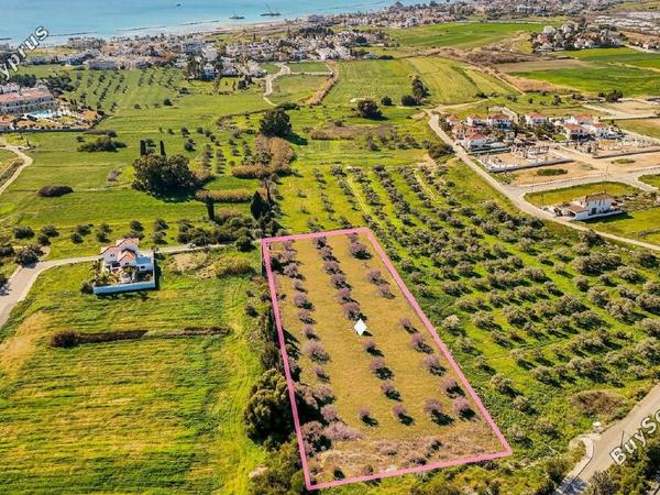 land for sale dekeleia larnaca 1792041 image 14321961