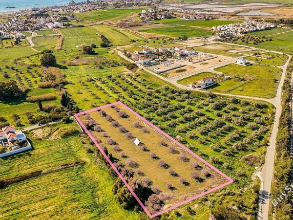 land for sale dekeleia larnaca 1792041 image 14321964