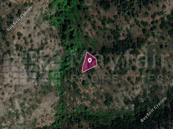 land for sale sykopetra limassol 7872041 image 11383934