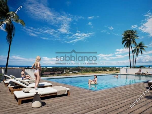 3 bedroom apartment for sale kissonerga paphos 8753141 image 16507841