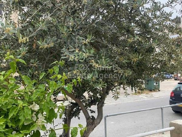 4 bedroom detached house for sale acropolis nicosia 1540141 image 5203104